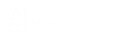 Vize Çözüm Merkezi
