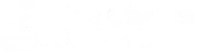 Vize Çözüm Merkezi Logo